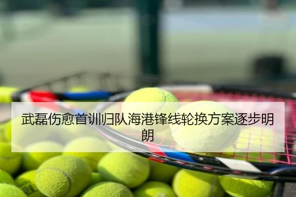 武磊伤愈首训归队海港锋线轮换方案逐步明朗